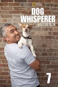 Dog Whisperer - Poster