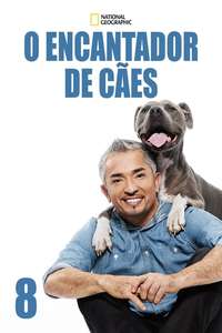 Dog Whisperer - Poster
