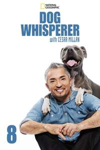 Dog Whisperer - Poster