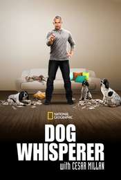 Dog Whisperer Season 9