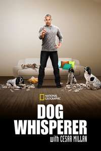 Dog Whisperer - Poster