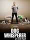 Dog Whisperer : Season 9