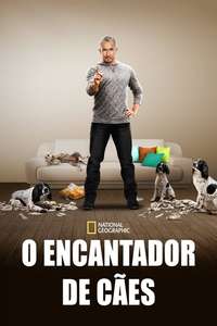 Dog Whisperer - Poster
