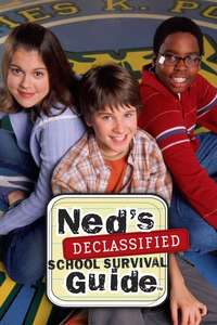 Ned's Declassified School Survival Guide - Poster