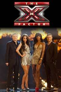 The X Factor - Posters