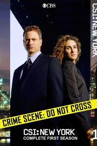 CSI: NY - Posters