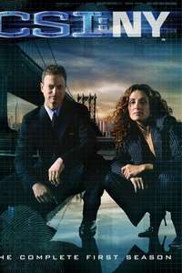 CSI: NY - Posters