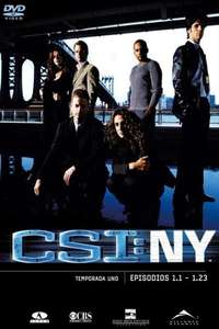 CSI: NY - Posters