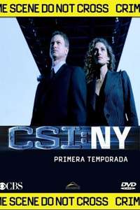 CSI: NY - Posters