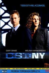 CSI: NY - Posters