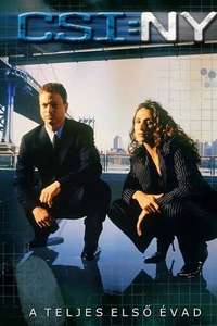 CSI: NY - Posters