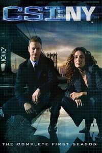 CSI: NY - Posters