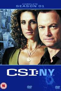 CSI: NY - Posters