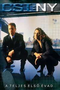 CSI: NY - Posters