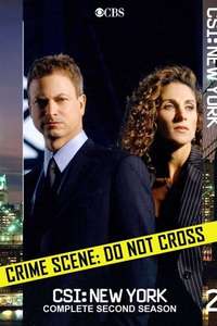 CSI: NY - Posters
