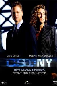 CSI: NY - Posters