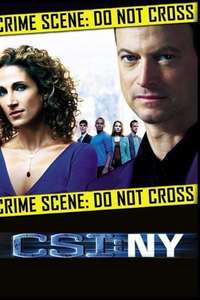 CSI: NY - Posters