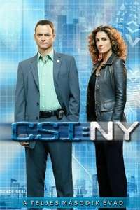 CSI: NY - Posters