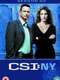 CSI: NY : Season 2