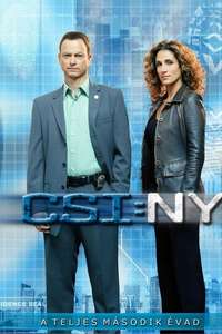 CSI: NY - Posters