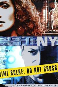 CSI: NY - Posters