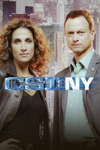 CSI: NY - Posters