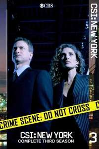 CSI: NY - Posters