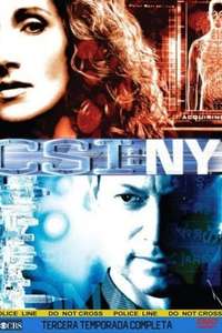 CSI: NY - Posters