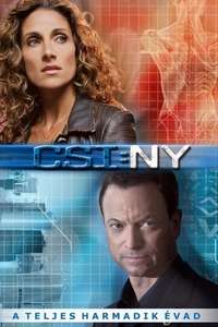 CSI: NY - Posters