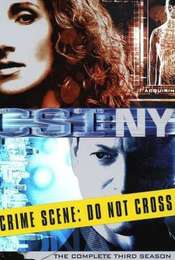 CSI: NY Season 3