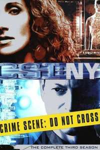 CSI: NY - Posters