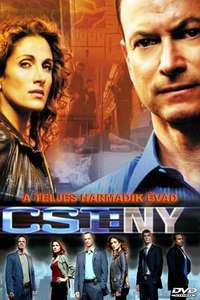 CSI: NY - Posters