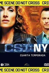 CSI: NY - Posters