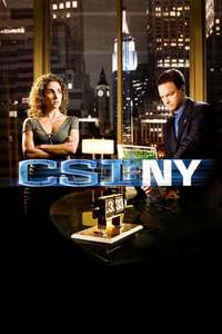 CSI: NY - Posters