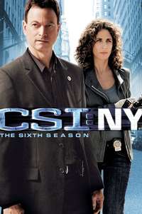 CSI: NY - Posters