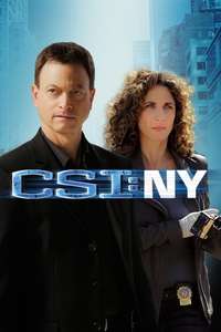 CSI: NY - Posters