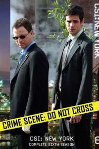 CSI: NY - Posters