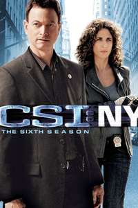 CSI: NY - Posters