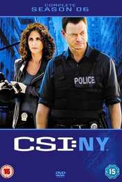 CSI: NY Season 6