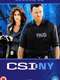 CSI: NY : Season 6