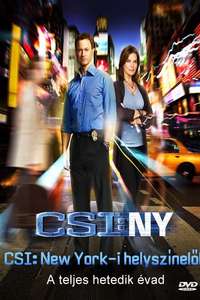 CSI: NY - Posters