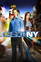 CSI: NY Season 7