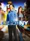 CSI: NY : Season 7