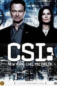 CSI: NY - Posters