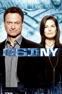 CSI: NY - Posters
