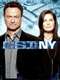 CSI: NY : Season 8