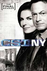 CSI: NY - Posters