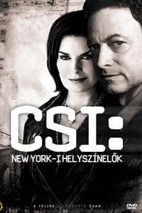CSI: NY - Posters