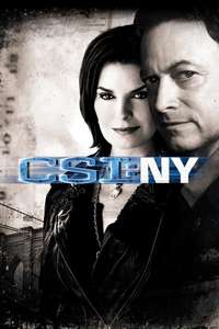 CSI: NY - Posters