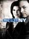 CSI: NY : Season 9